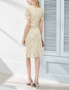 V-Neck Lace Sheath Dress