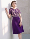 Lace Panel Waist-Cinched Fitted Dress