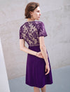 Lace Panel Waist-Cinched Fitted Dress