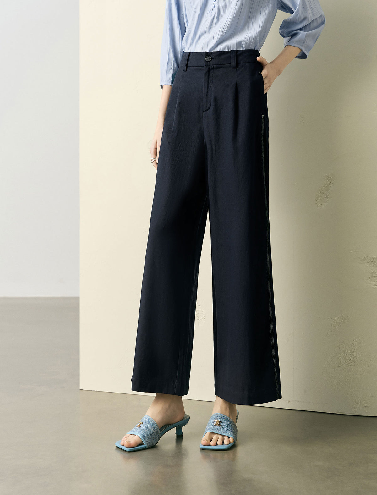 High Waisted Linen Blend Pleated Wide Leg Pants