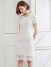 Raw-Edge Lace Short Sleeve Midi Dress