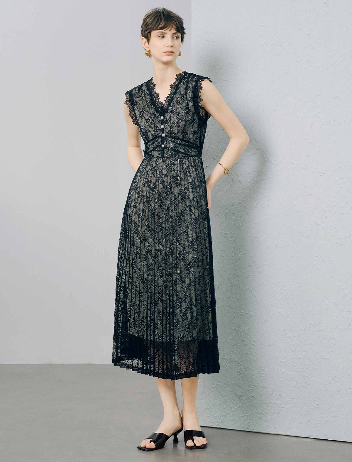 Black Lace Mesh Sheath Dress