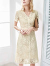 V-Neck Lace Sheath Dress