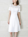 Lace Round Neck Waist-Cinched Dress