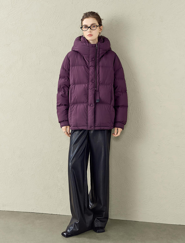 High Collar Hooded Down Jacket