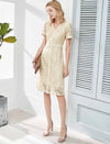 V-Neck Lace Sheath Dress