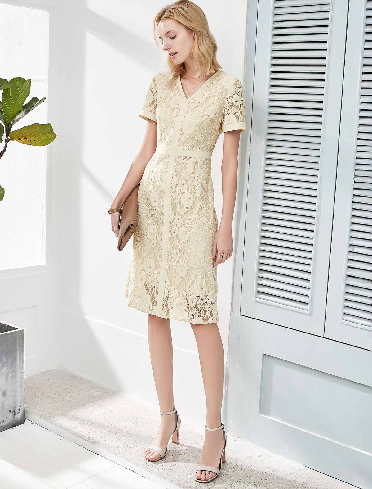 V-Neck Lace Sheath Dress