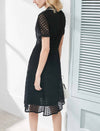 Black Lace Contrast Trim Dress
