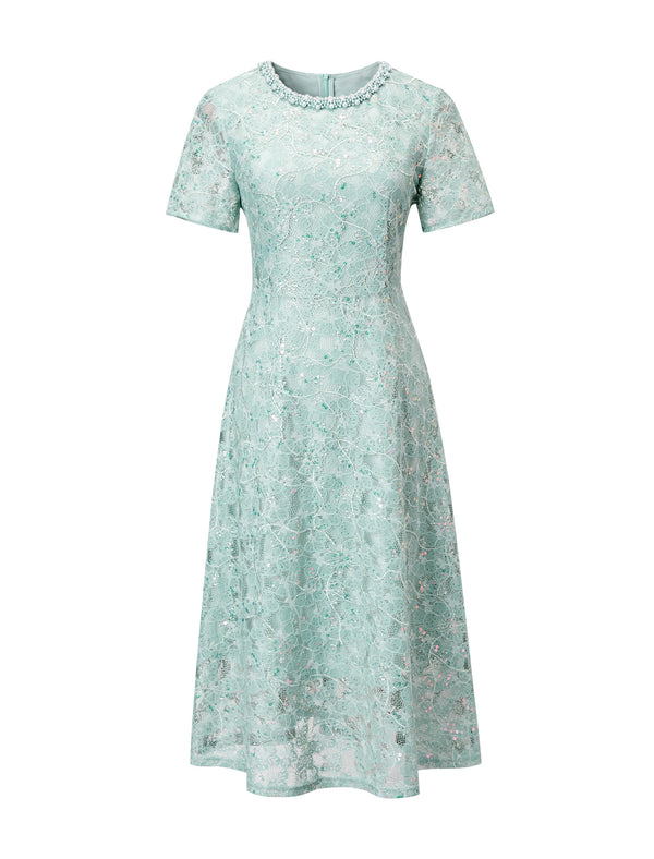 Lace Embellished Midi Dress