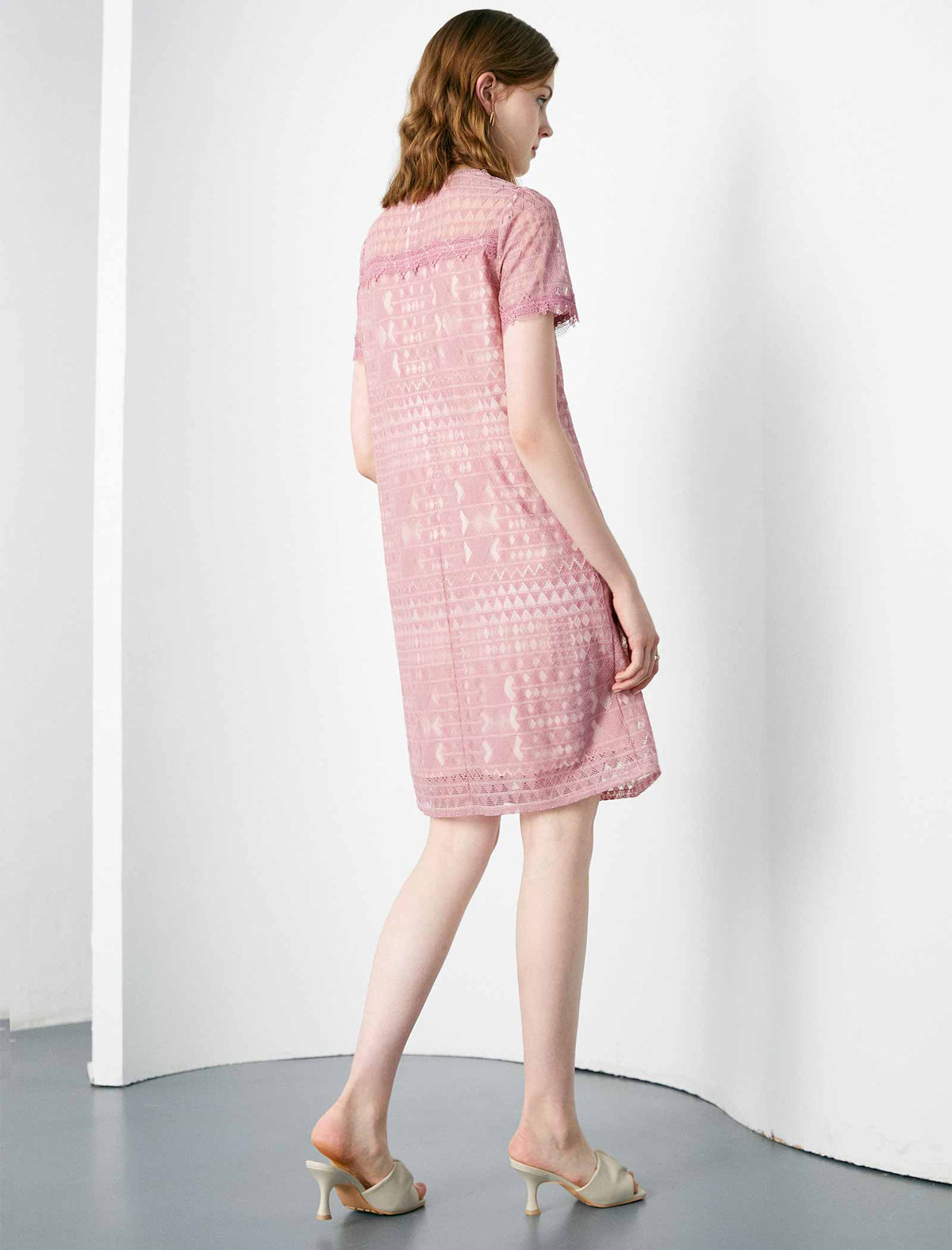 Round Neck Lace Print Dress