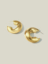 Irregular Curved Hoop Earrings