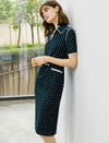 V-Neck Polka Dot Waist-Cinched Fitted Dress