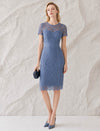 Dusty Blue Floral Lace Sheath Midi Dress