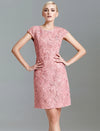 Lace Waist-Cinched Dress