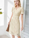 V-Neck Lace Sheath Dress