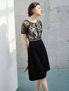 Lace Panel Waist-Cinched Fitted Dress