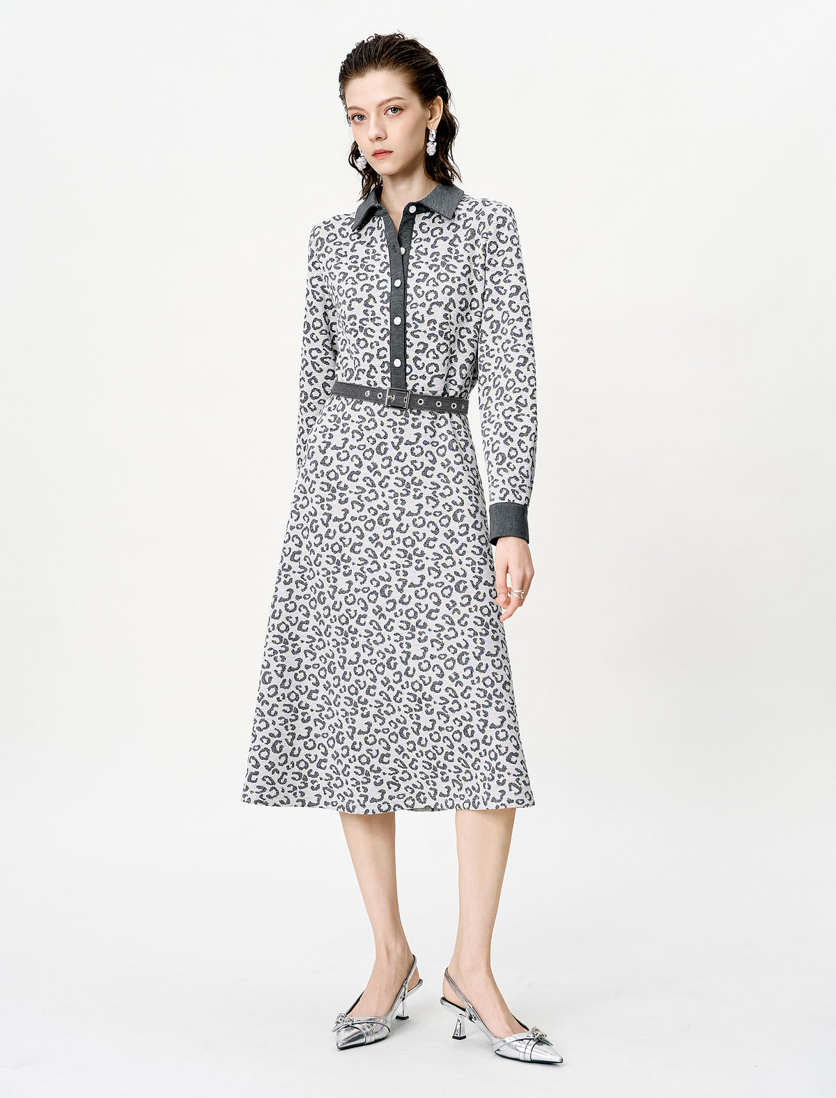 Abstract Print Belted Long Sleeve Midi Dress