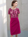 Lace Panel Waist-Cinched Fitted Dress