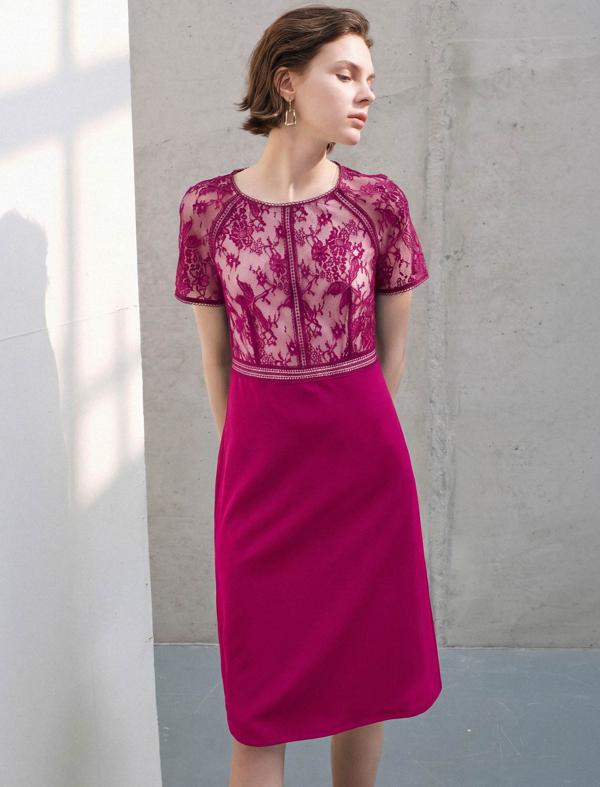 Lace Panel Waist-Cinched Fitted Dress