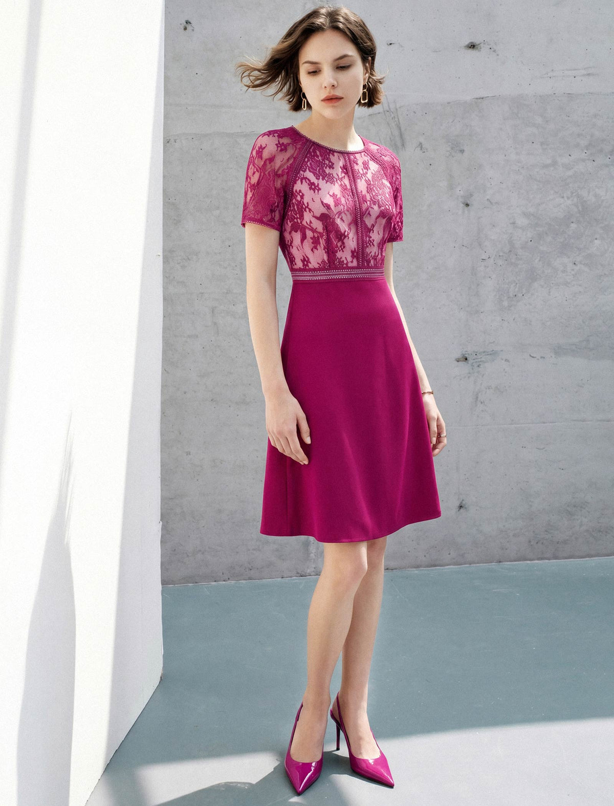 Lace Panel Waist-Cinched Fitted Dress