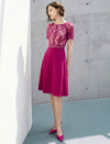 Lace Panel Waist-Cinched Fitted Dress