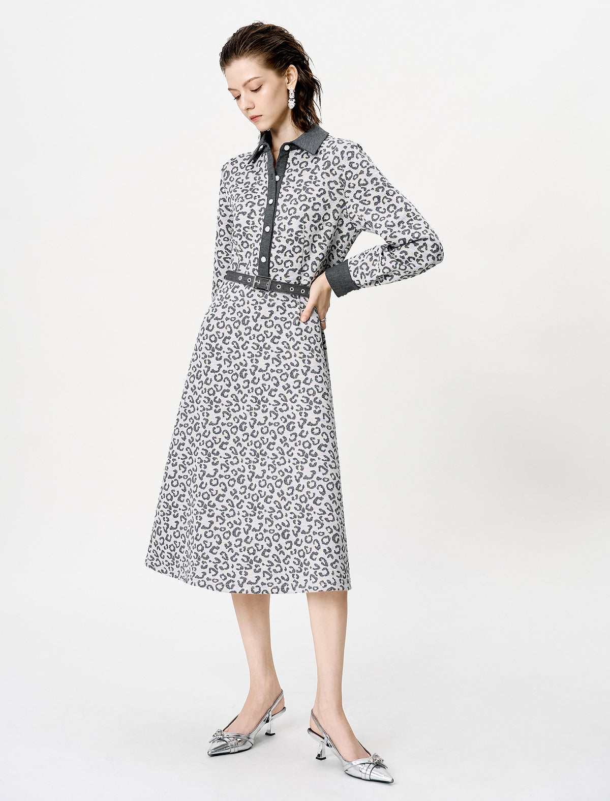 Abstract Print Belted Long Sleeve Midi Dress