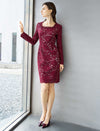 Burgundy Lace Sequin Sheath Mini Dress