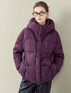 High Collar Hooded Down Jacket