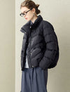 Stand Collar Down Jacket