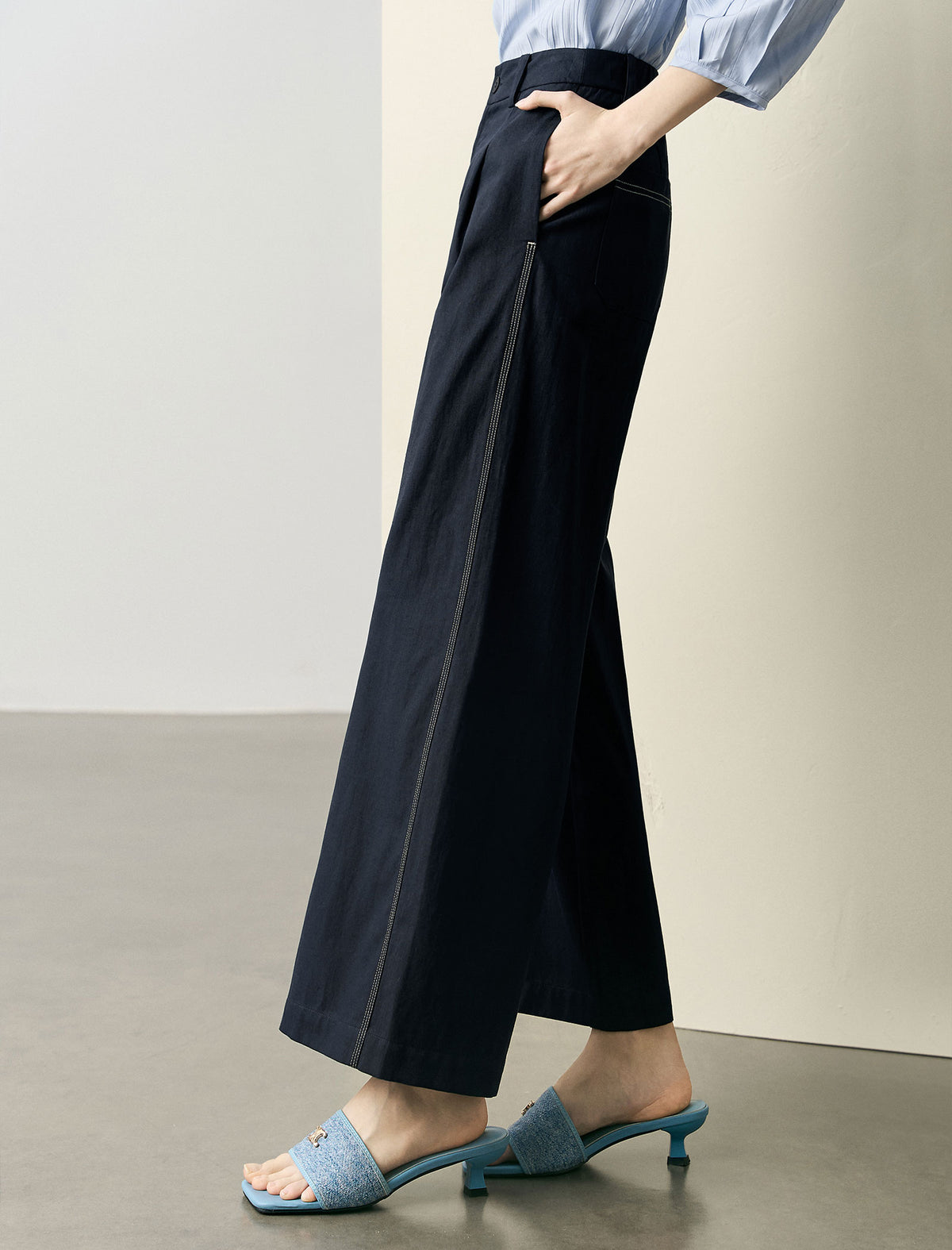 High Waisted Linen Blend Pleated Wide Leg Pants