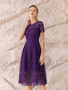 Vintage Lace Waist-Cinched Ruffle Dress