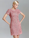 Lace Mesh Panel Slim Fit Dress