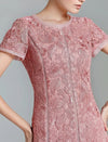 Lace Mesh Panel Slim Fit Dress