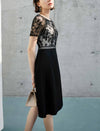 Lace Panel Waist-Cinched Fitted Dress